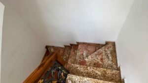 Alternative view of Bán nhà mặt tiền đường kinh doanh sầm uất Phạm Thế Hiển P3 Q8