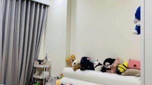 Alternative view of Bán nhà đẹp gần mặt tiền đường Trần Bình Trọng P2 Q5