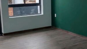 Alternative view of Bán nhà mới vị trí đẹp đường Bà Hạt P8 Q10