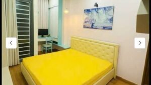 Bán nhà căn góc hẻm xe tải đường Nguyễn Duy Dương P4 Q10 - Ảnh 3