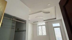 Bán nhà mới hẻm xe hơi thoáng đường Liên tỉnh 5 p5 Q8 - Ảnh 3